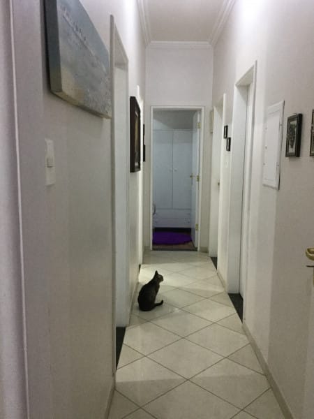 Foto da cozinha