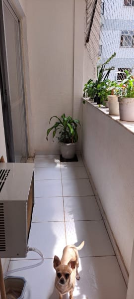 Foto da cozinha