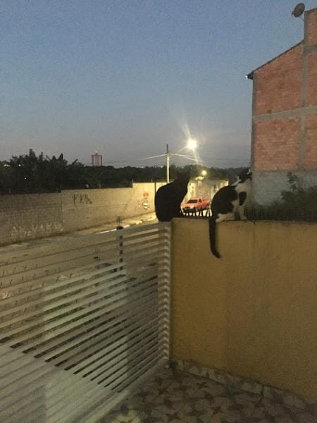 Foto do banheiro