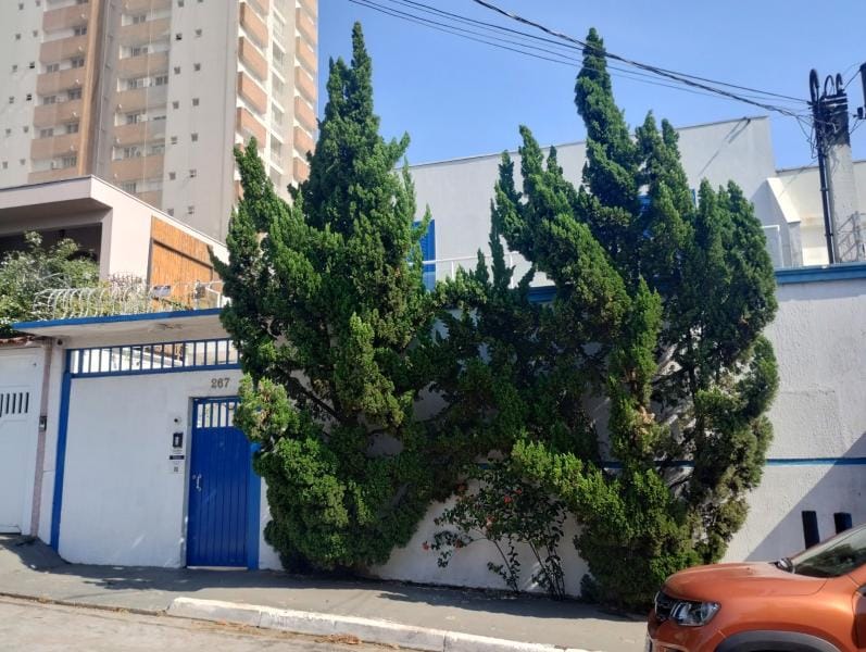 Foto principal