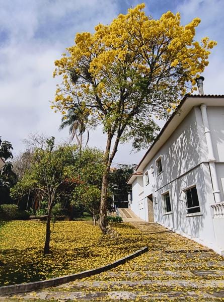 Foto do quarto