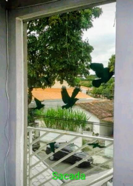 Foto do quarto