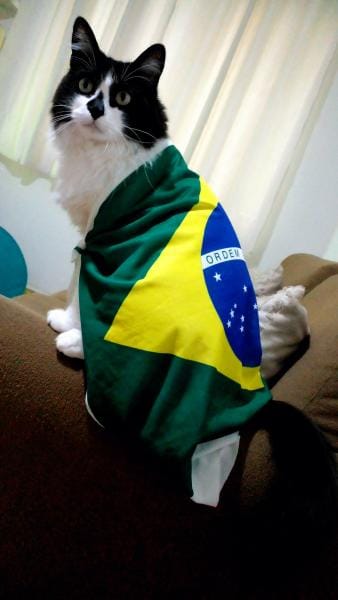 Foto do quarto