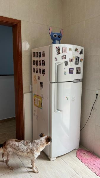 Foto da cozinha