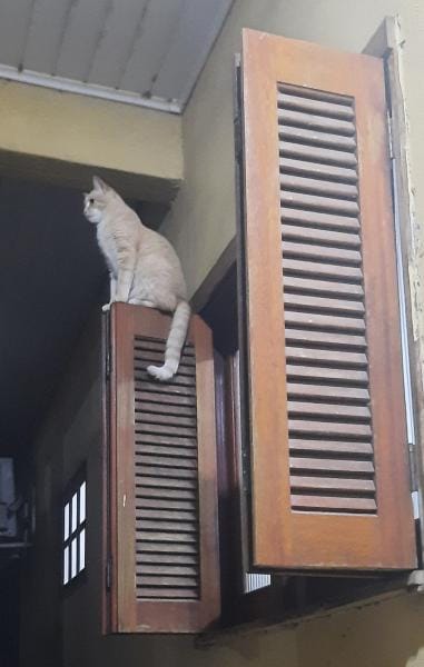 Foto da cozinha