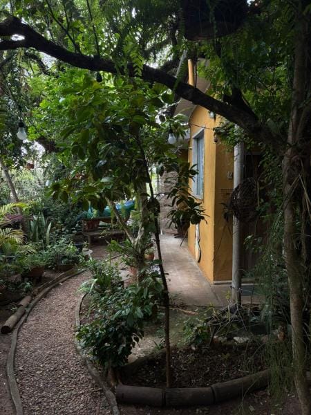 Foto do quarto