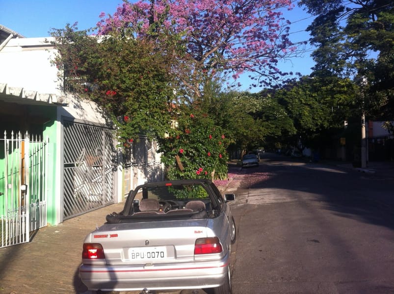 Foto principal