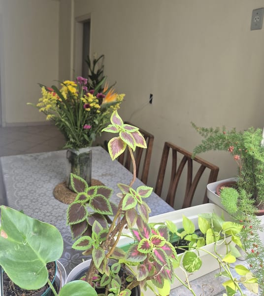 Foto da cozinha