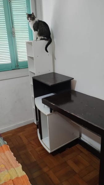 Foto do quarto