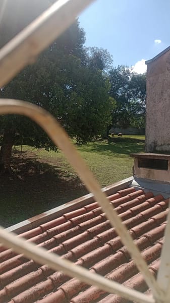 Foto principal