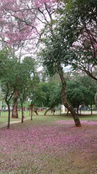 Foto do banheiro
