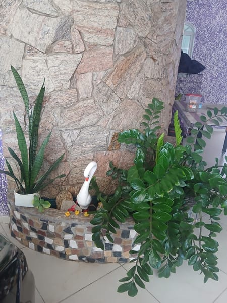 Foto principal