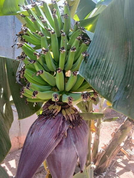 Foto do banheiro