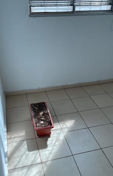 Foto do banheiro