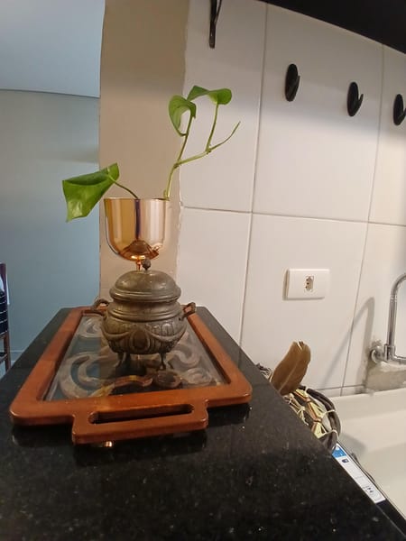 Foto da cozinha