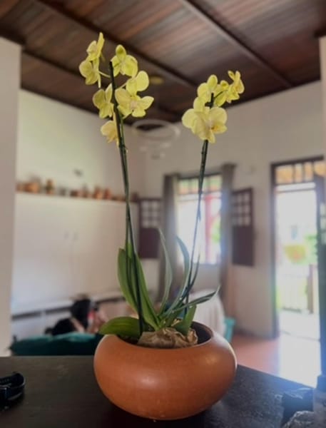 Foto do quarto