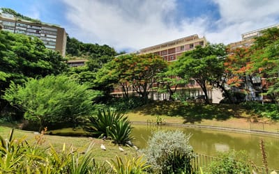 Foto do anúncio