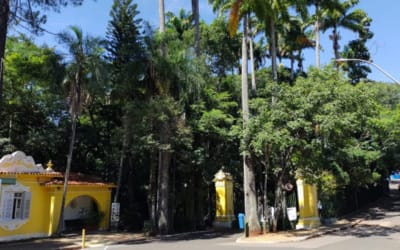 Foto do anúncio