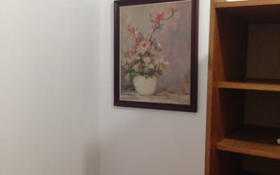Foto do anúncio