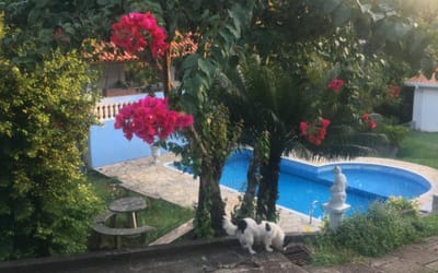 Foto do anúncio