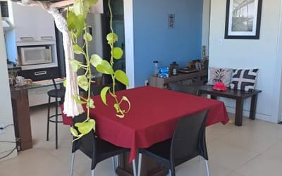 Foto do anúncio