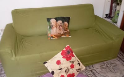 Foto do anúncio