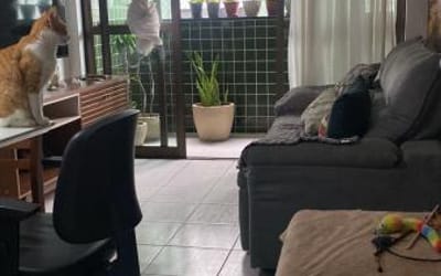Foto do anúncio