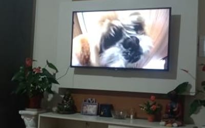 Foto do anúncio