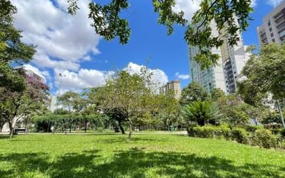Foto do anúncio