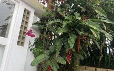 Foto do anúncio