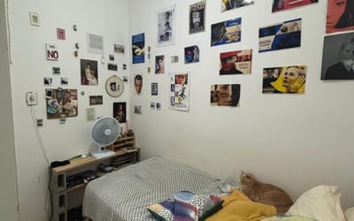 Foto do anúncio