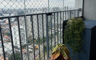 Foto do anúncio