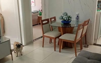 Foto do anúncio