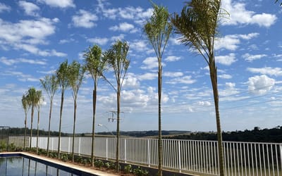 Foto do anúncio
