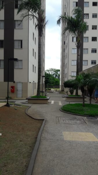 Foto principal