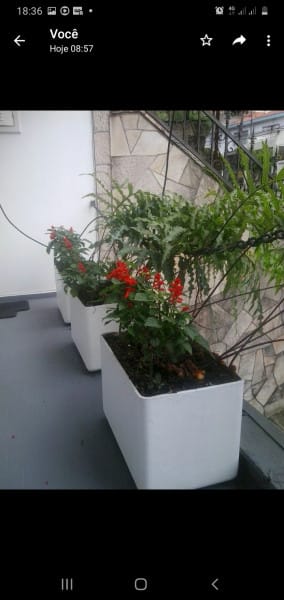 Foto da cozinha