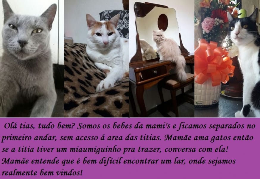 Foto do anúncio