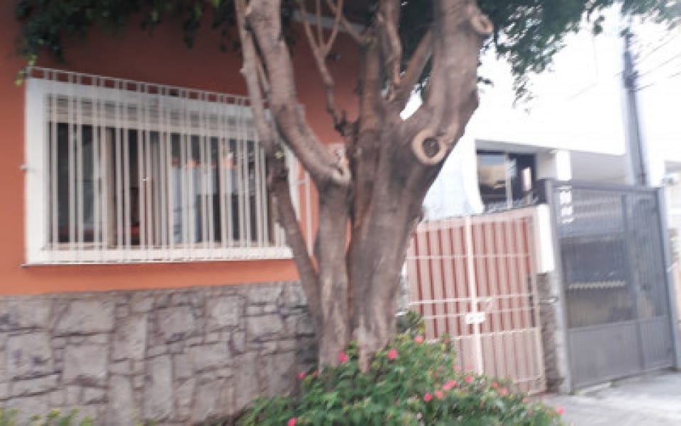 Foto principal