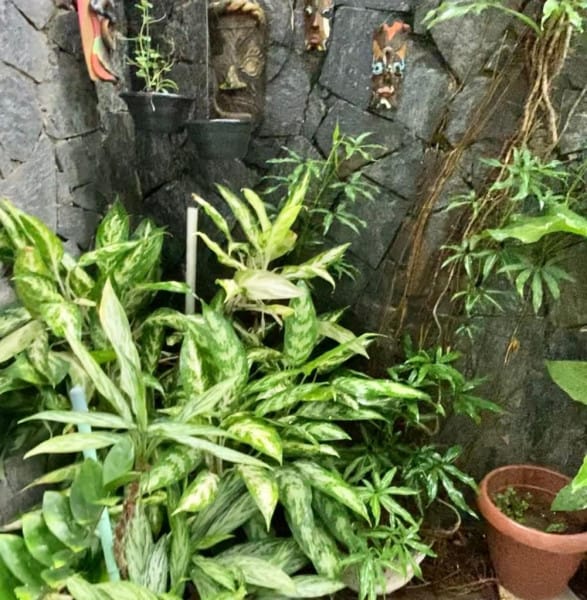 Foto do quarto