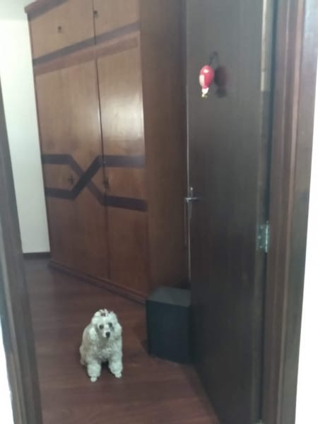 Foto do anúncio