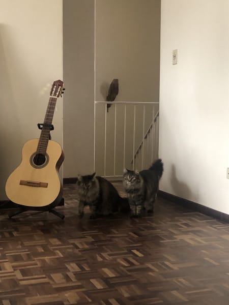 Foto do quarto