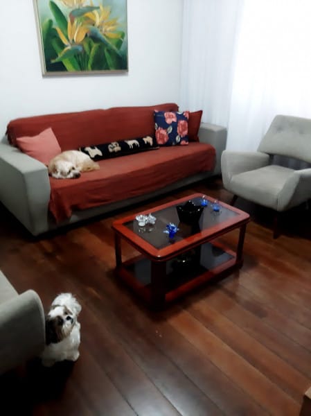 Foto principal