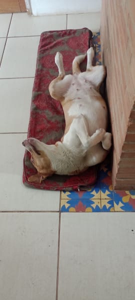 Foto do quarto