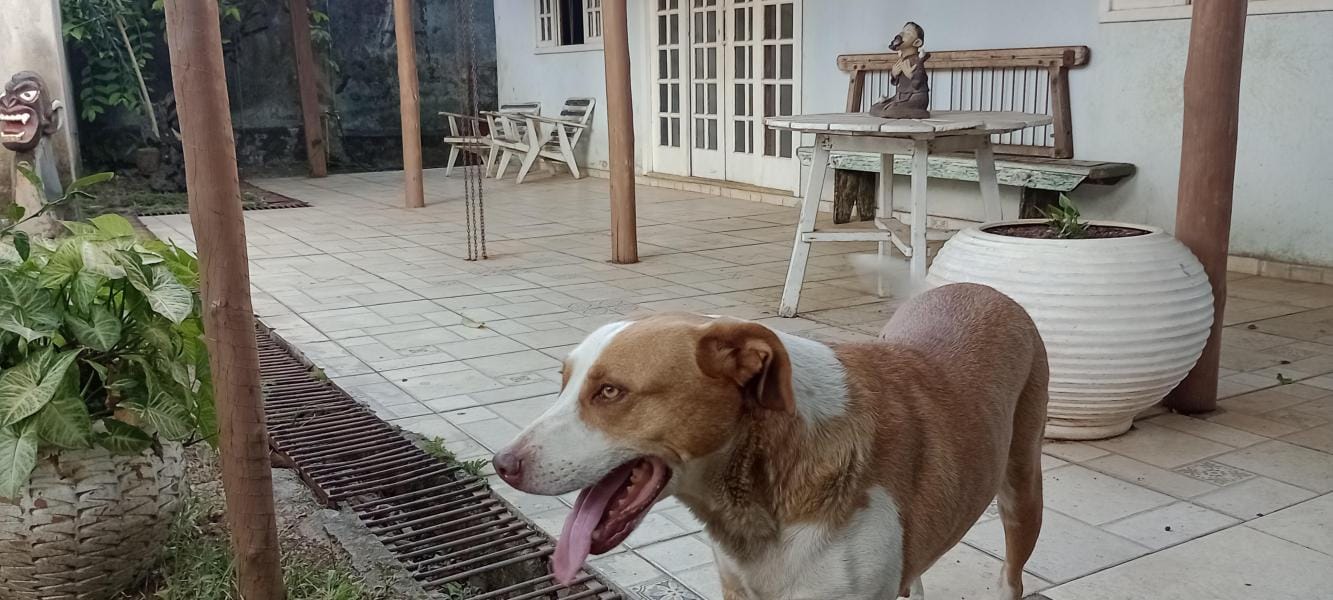 Foto do banheiro