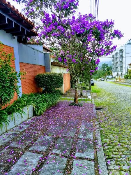 Foto do banheiro