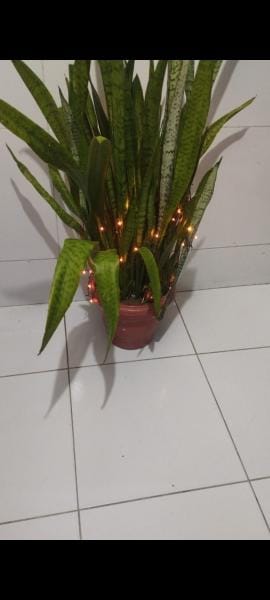 Foto da cozinha