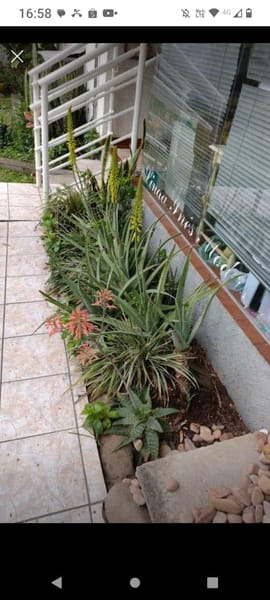 Foto do anúncio