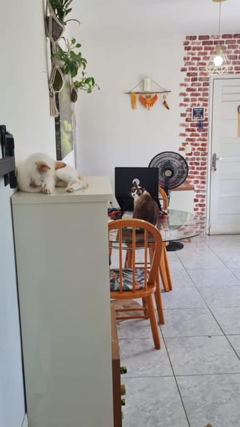 Foto do banheiro