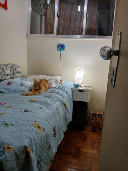 Foto principal