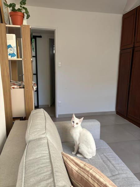 Foto da cozinha